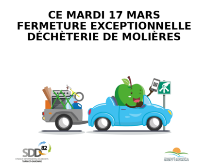 Pomme verte dans une voiture bleue