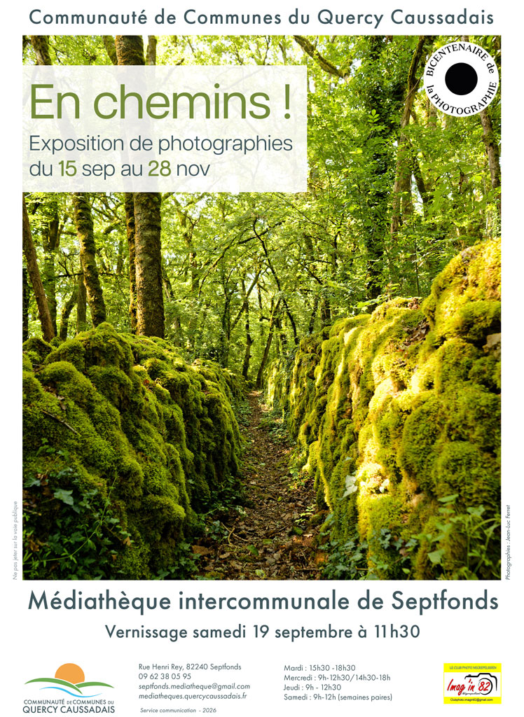 Chemin en forêt avec des murets moussus.