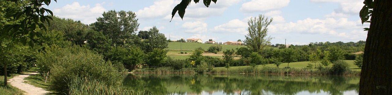 Paysage de campagne avec un lac