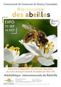 Abeille qui butine une fleur blanche