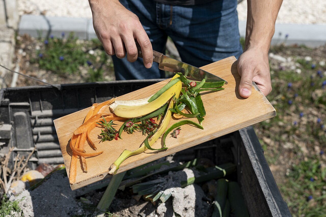 Fabrication du composte, fruits et légumes versés dans le composteur