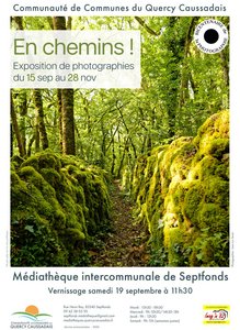 Chemin en forêt avec des murets moussus.