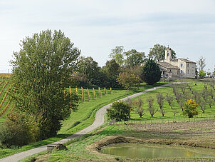 Vue des champs et église dans le fond